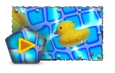 Paint Ducks.png