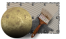 Paint Venus WfS2019.png