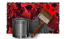 Coloring Cherry.png