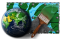 Paint Earth WfS2019.png